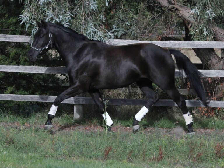 155824866_5428756813831578_7933508544882525132_n