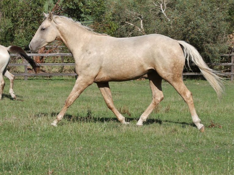 87855841_3801944749846134_6728306521064603648_o