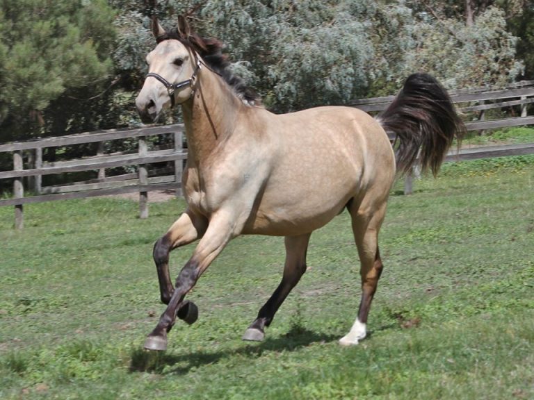 87877137_3823356754371600_2286748692717240320_o