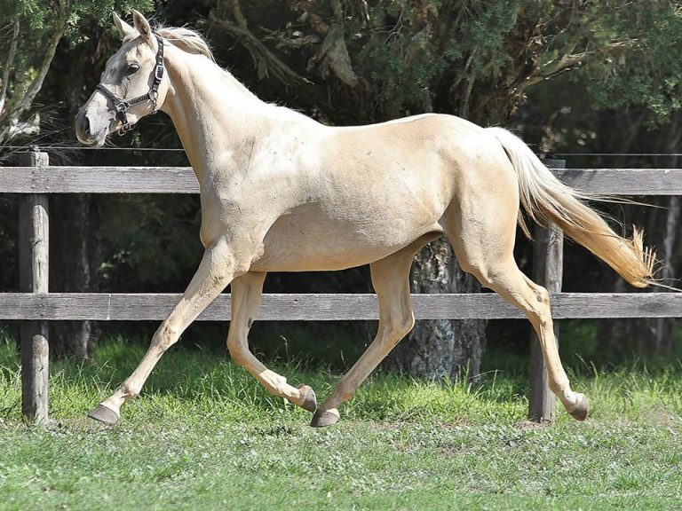 87889329_3812886675418608_2776913141043298304_o